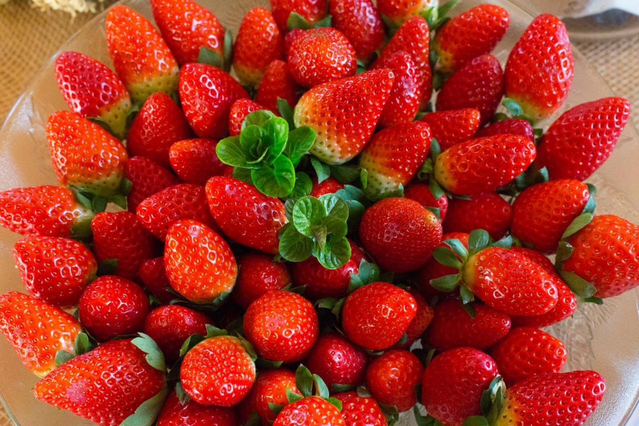 Agroturismo Son Vives Menorca - Adults Only Ferreries Kültér fotó
